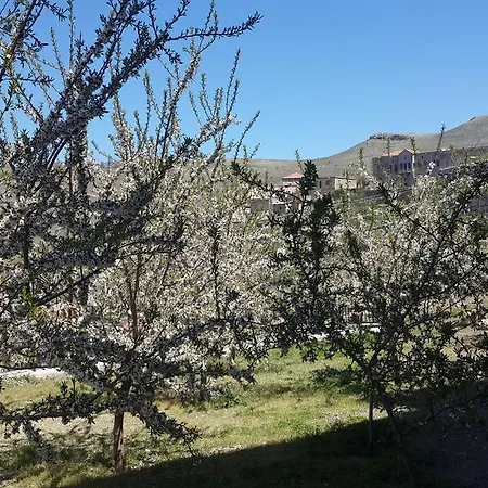Hotel Hekim Konagi Guzelyurt