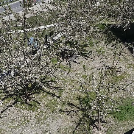 Hekim Konagi Guzelyurt