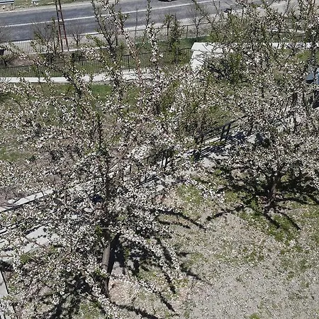 Hotel Hekim Konagi 3*