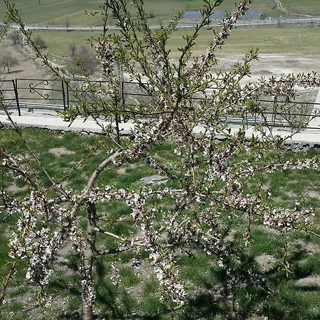 Hekim Konagi 3* Guzelyurt