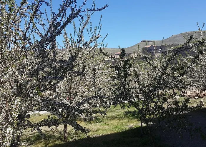 Hotel Hekim Konagi Guzelyurt