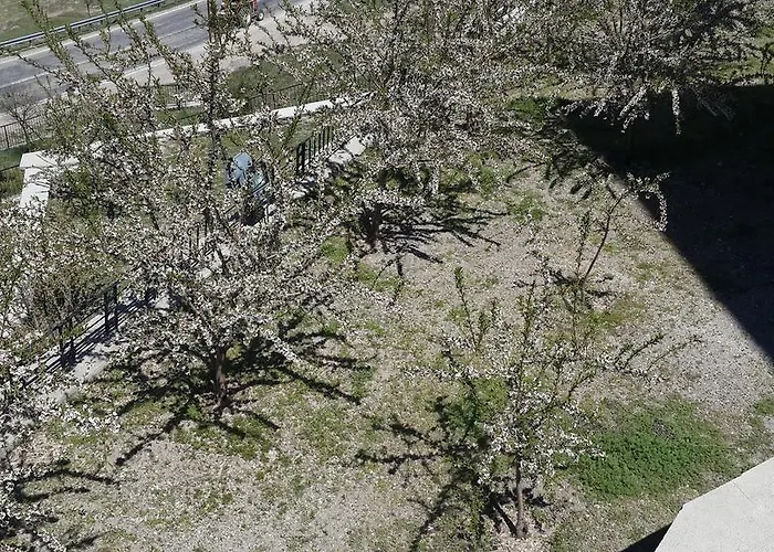 Hekim Konagi Guzelyurt