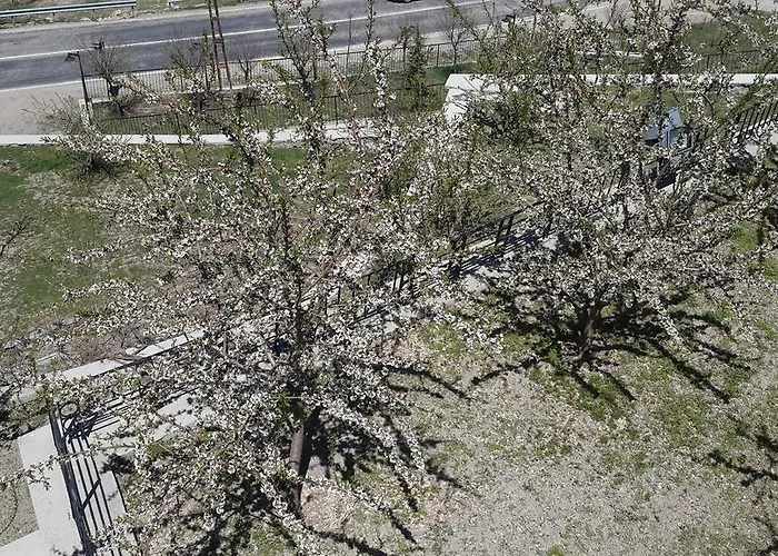 Hotel Hekim Konagi 3*