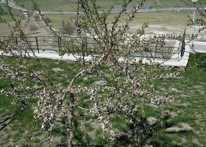 Hekim Konagi 3* Guzelyurt